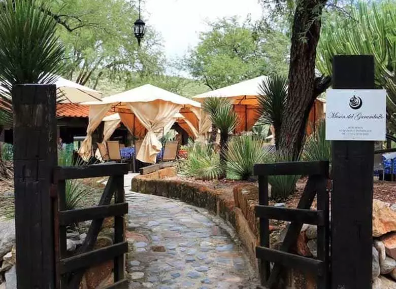 Armadillo Mágico